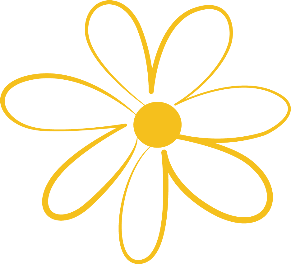 品牌花雏菊.png